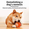 Smart Interactive Ball for Pets - Automatic Bouncing Toy